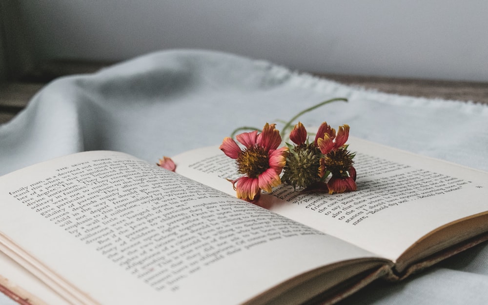 red and yellow flower on book page