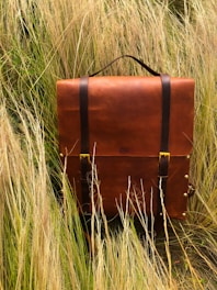 brown wooden chest on green grass field