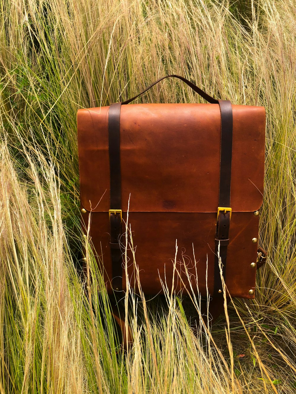 brown wooden chest on green grass field