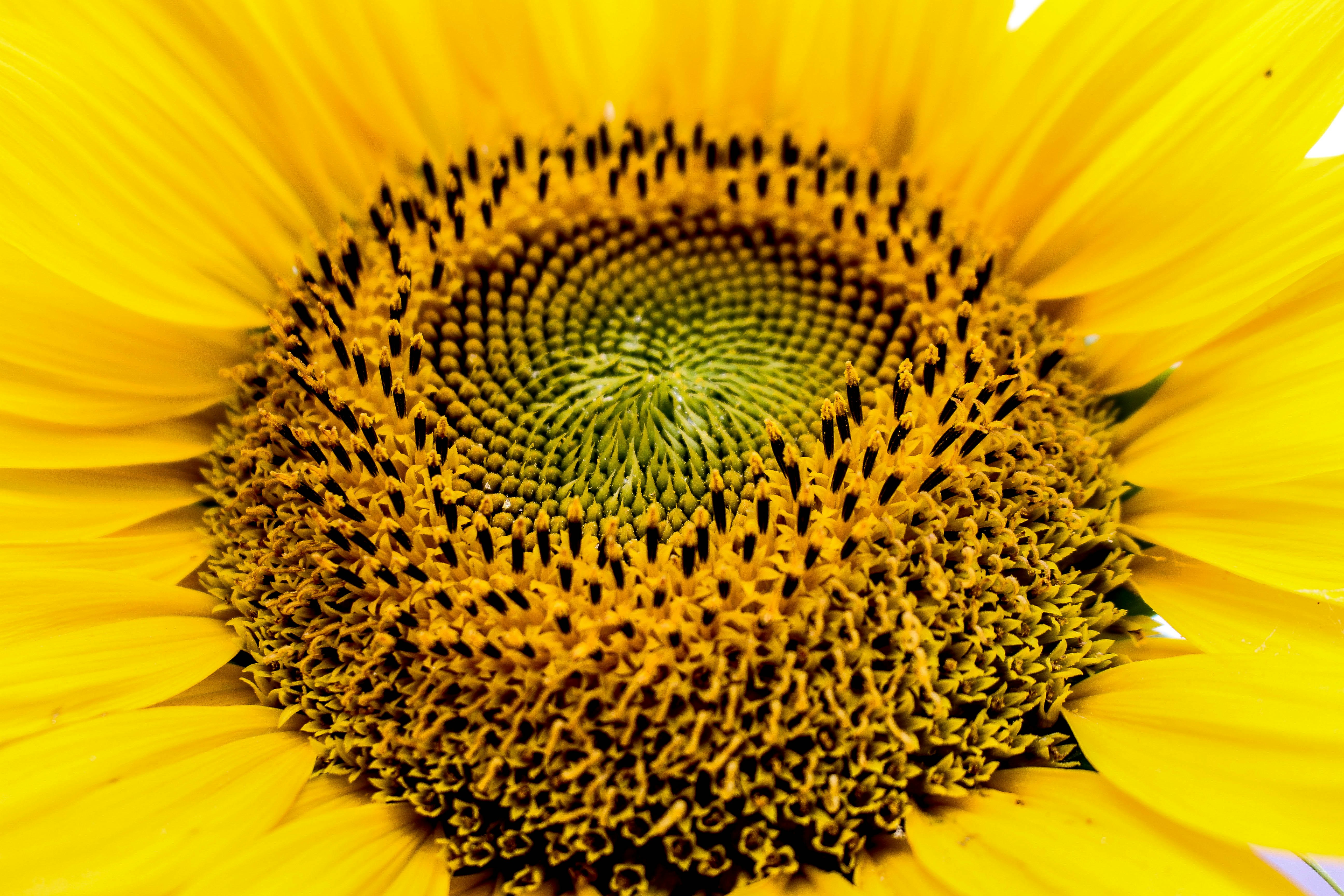 Photo by pausedinstants