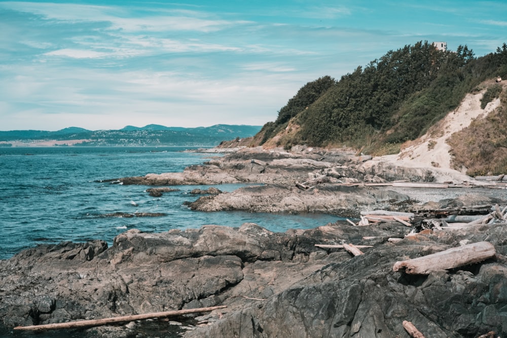 brown rocky shore near body of water during daytime