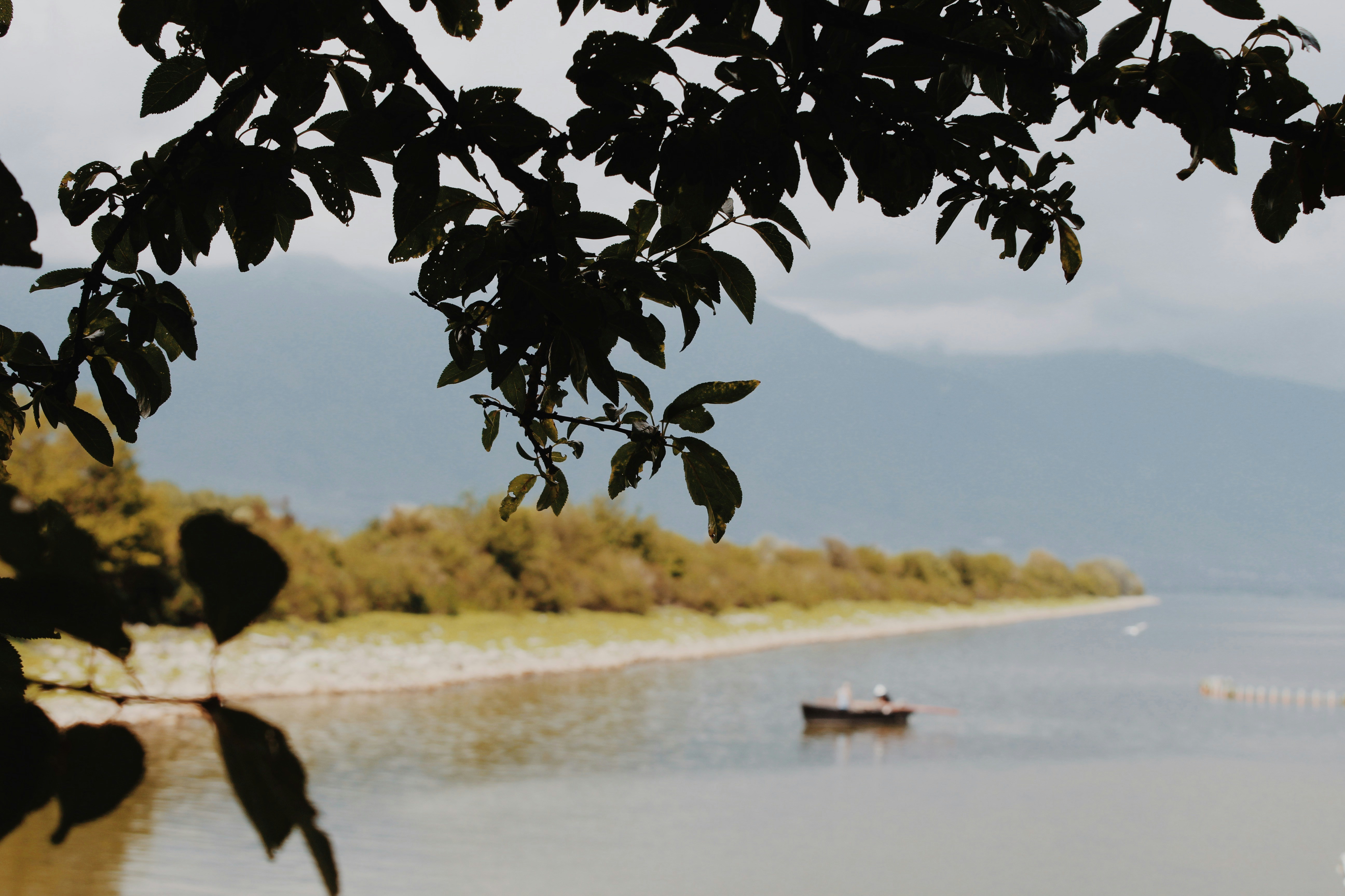 Photo by evgeniasterg