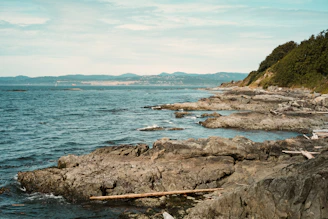 brown rock formation near body of water during daytime