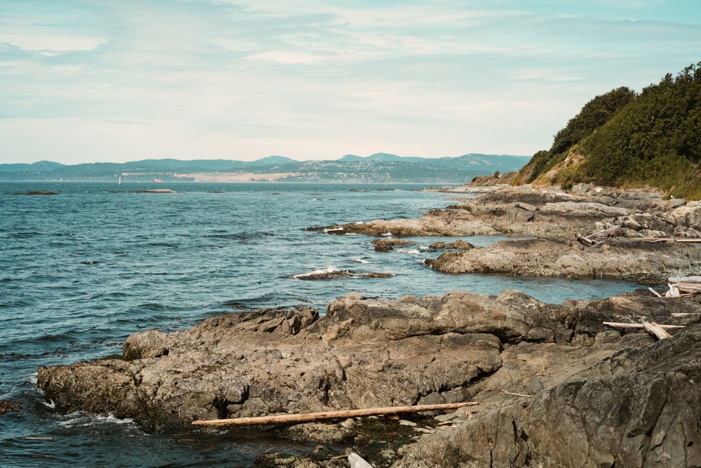 brown rock formation near body of water during daytime