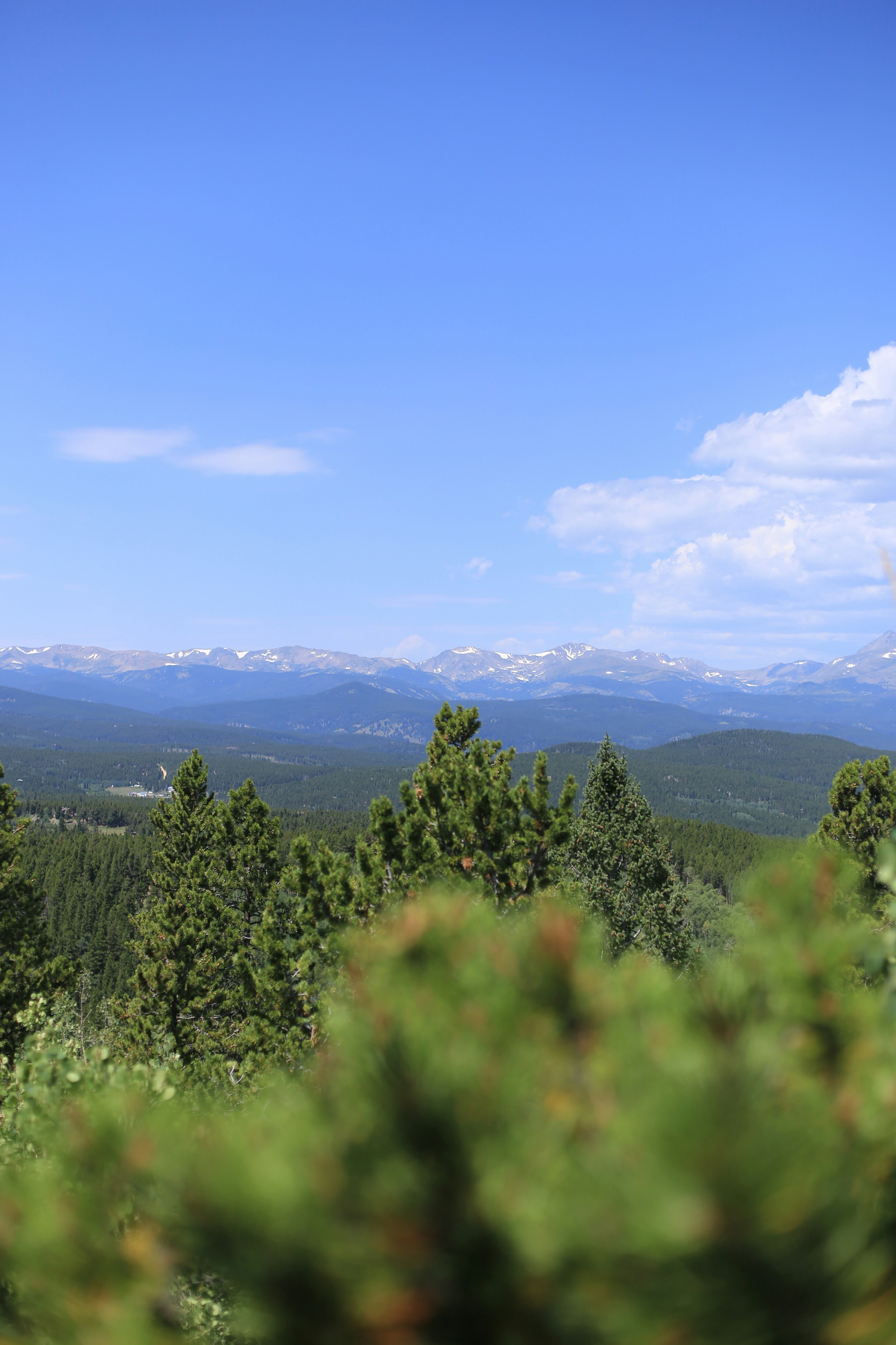 Photo by jessicalfadel