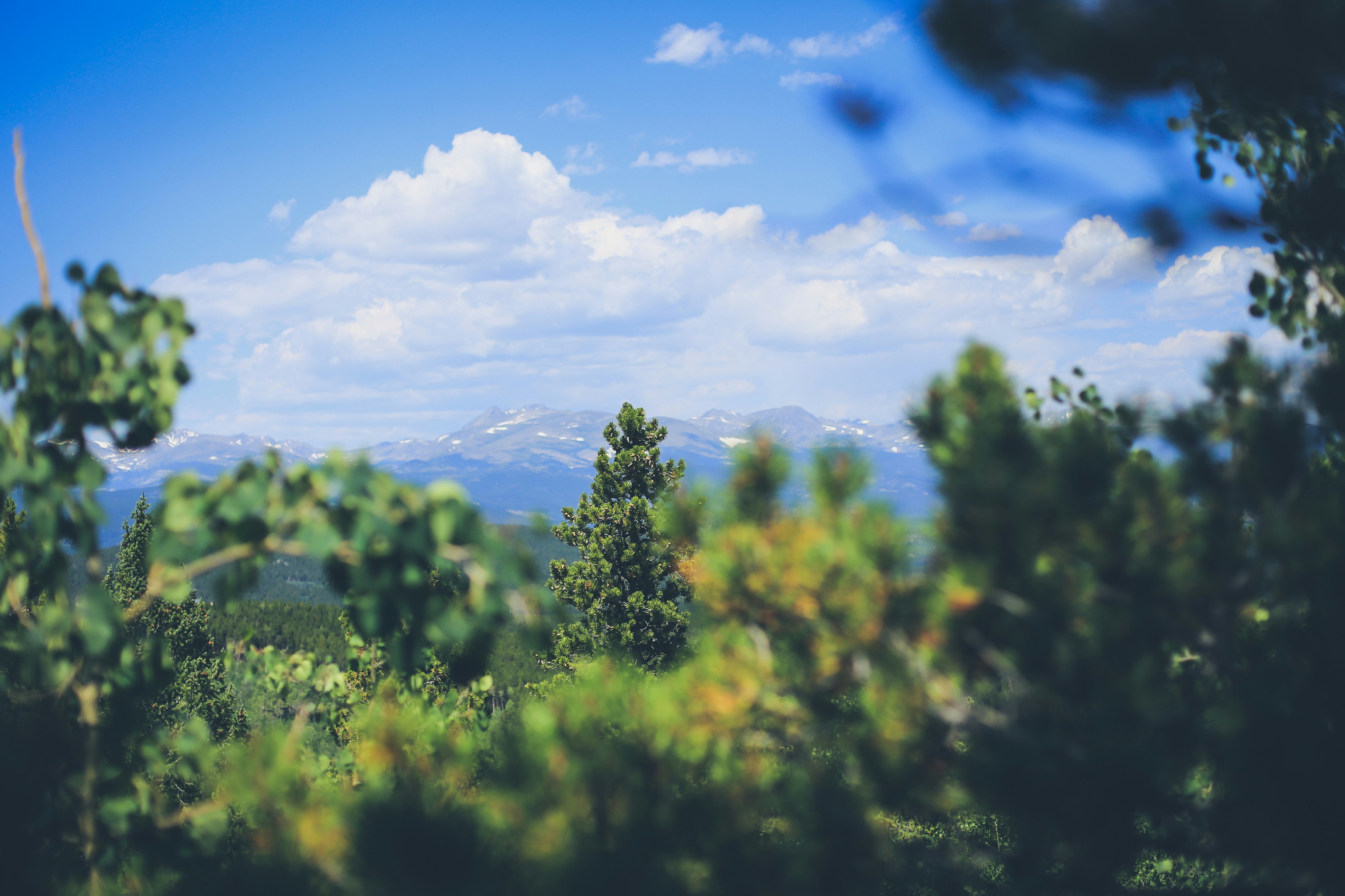 Photo by jessicalfadel