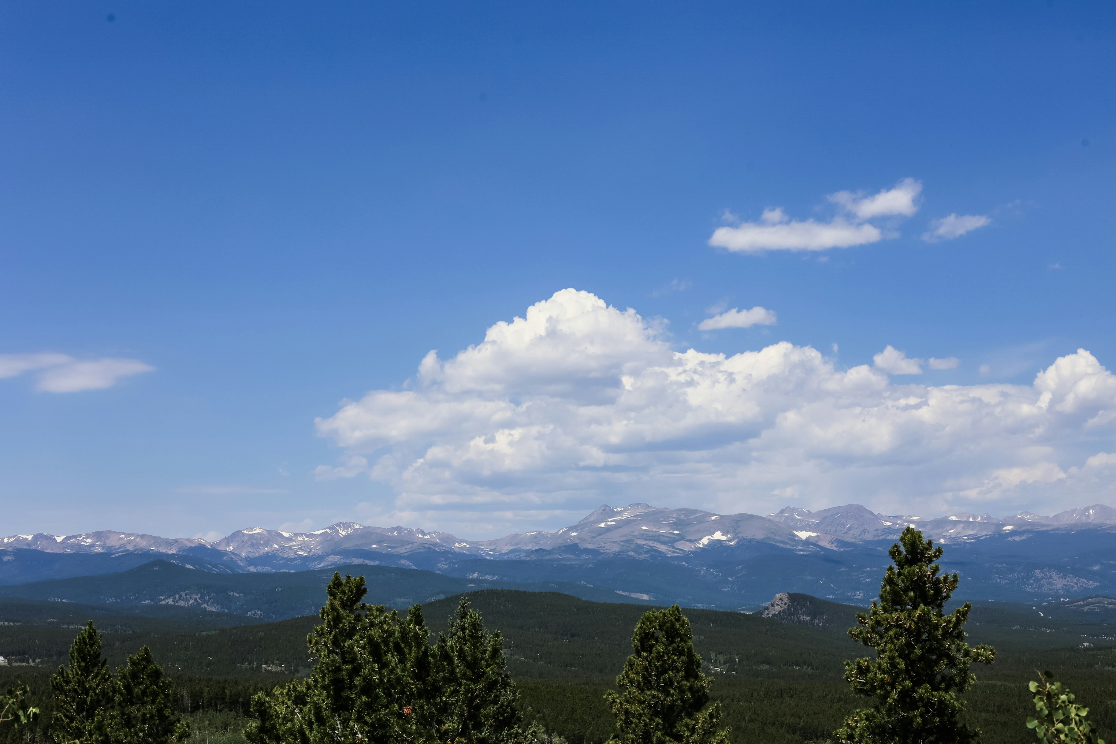 Photo by jessicalfadel