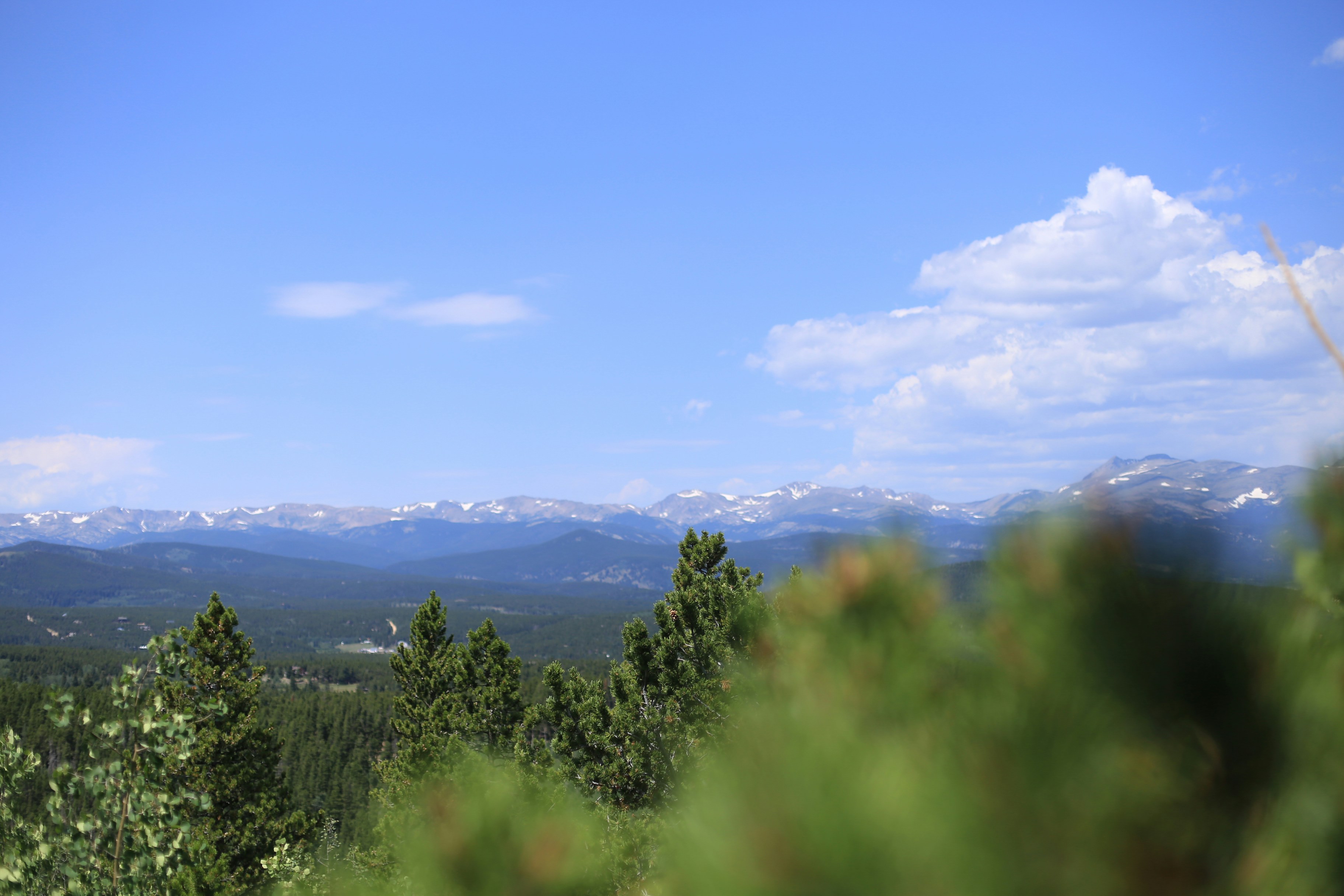 Photo by jessicalfadel