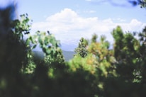 A scenic view of a hidden travel destination with mountains and a clear blue sky.