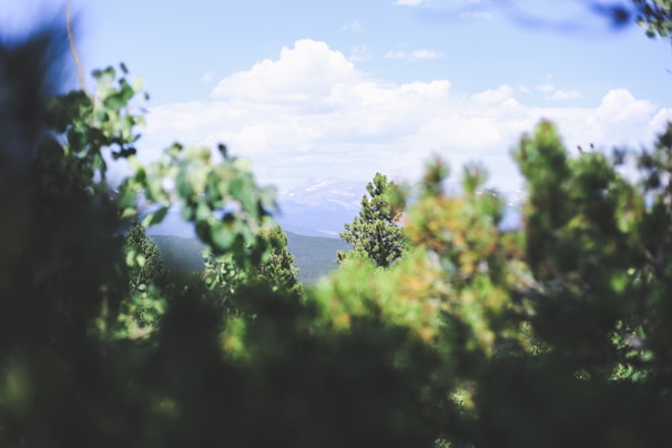 A scenic view of mountains with a clear blue sky.
