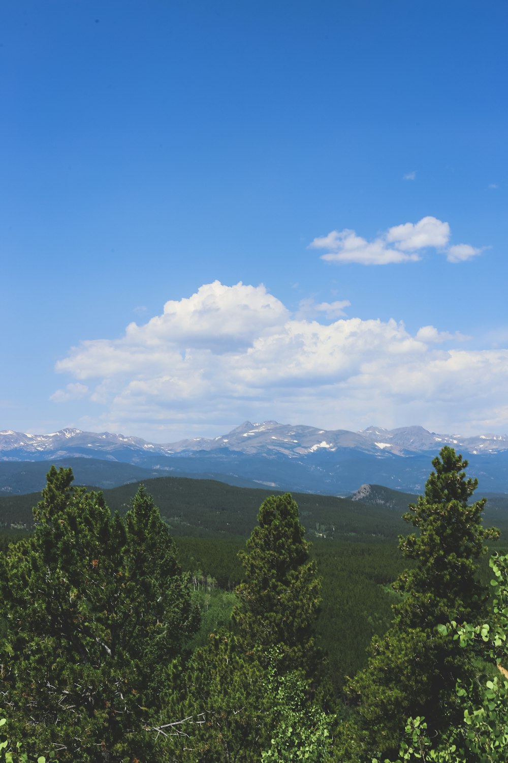 green trees and mountains under blue sky during daytime