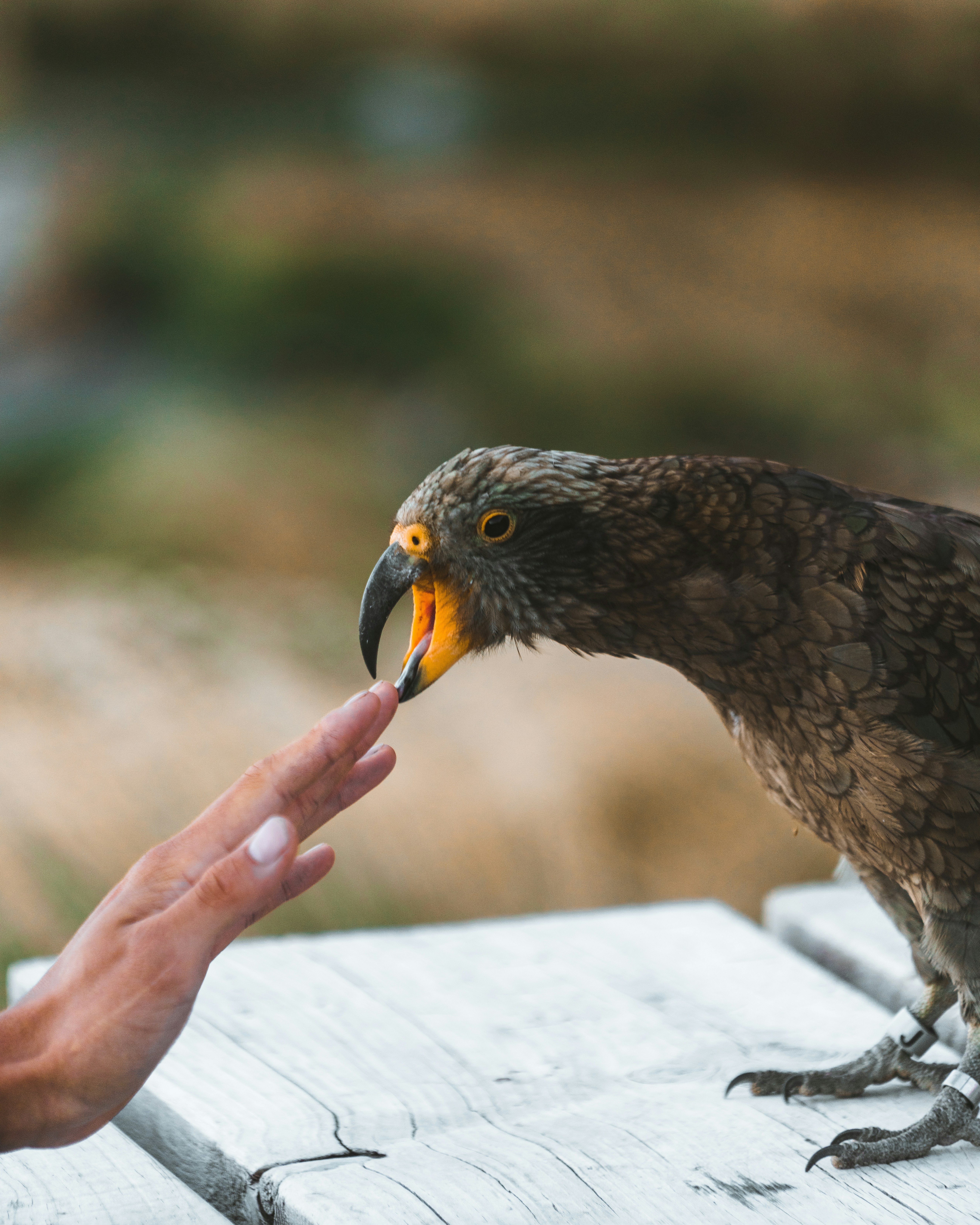 Strace - System call tracer