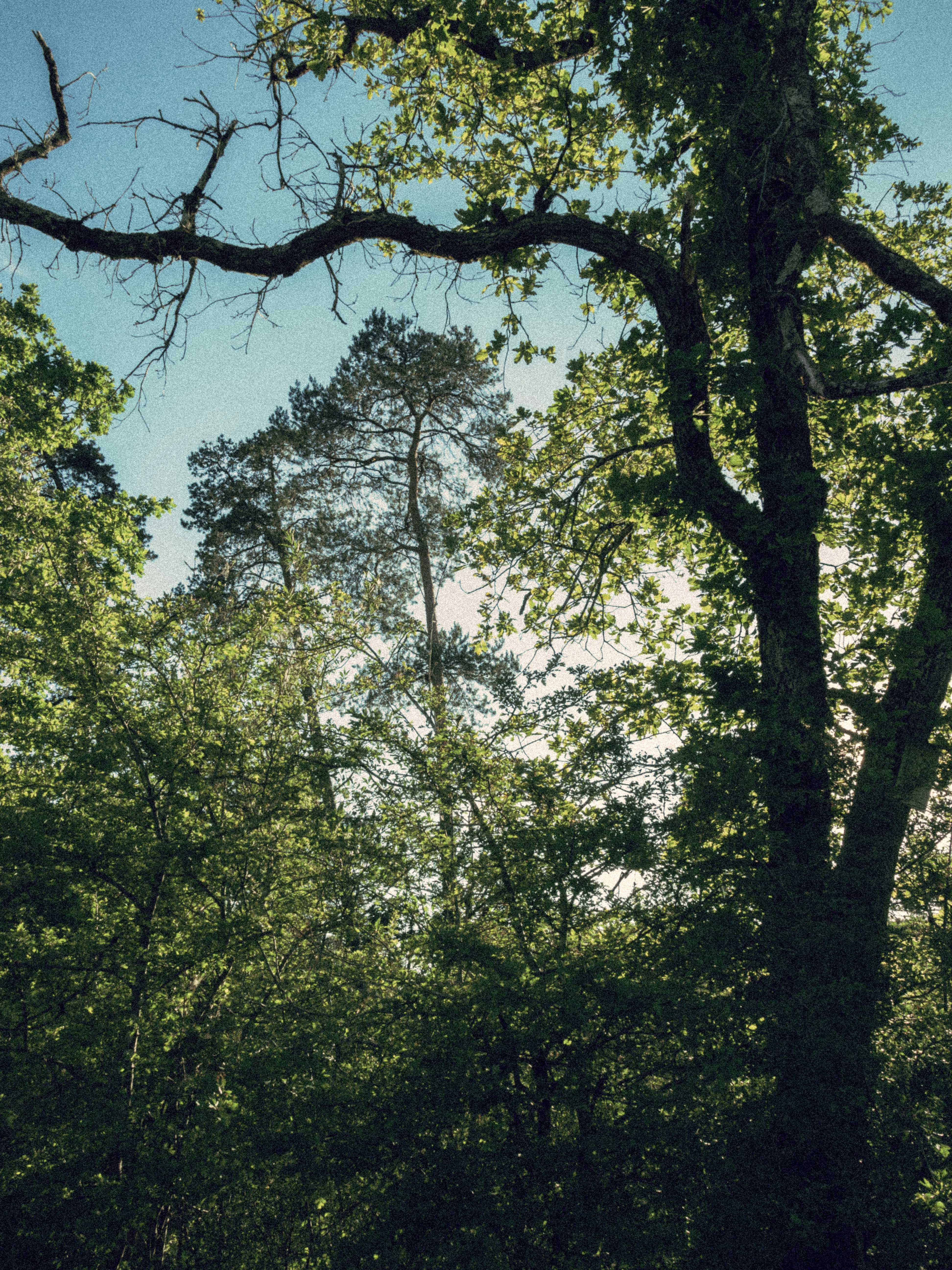 Photo by yan_berthemy_photography