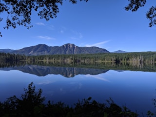 green trees near lake under blue sky during daytime