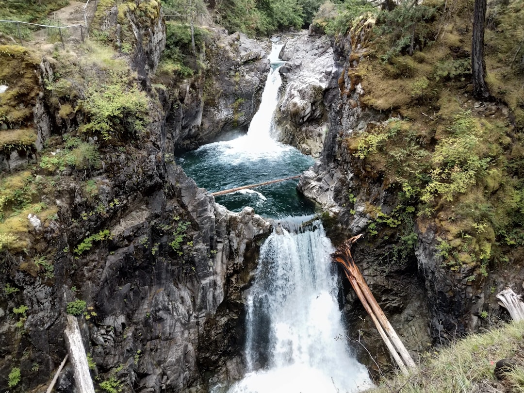 Waterfall photo spot Little Qualicum River Englishman River Falls Provincial Park