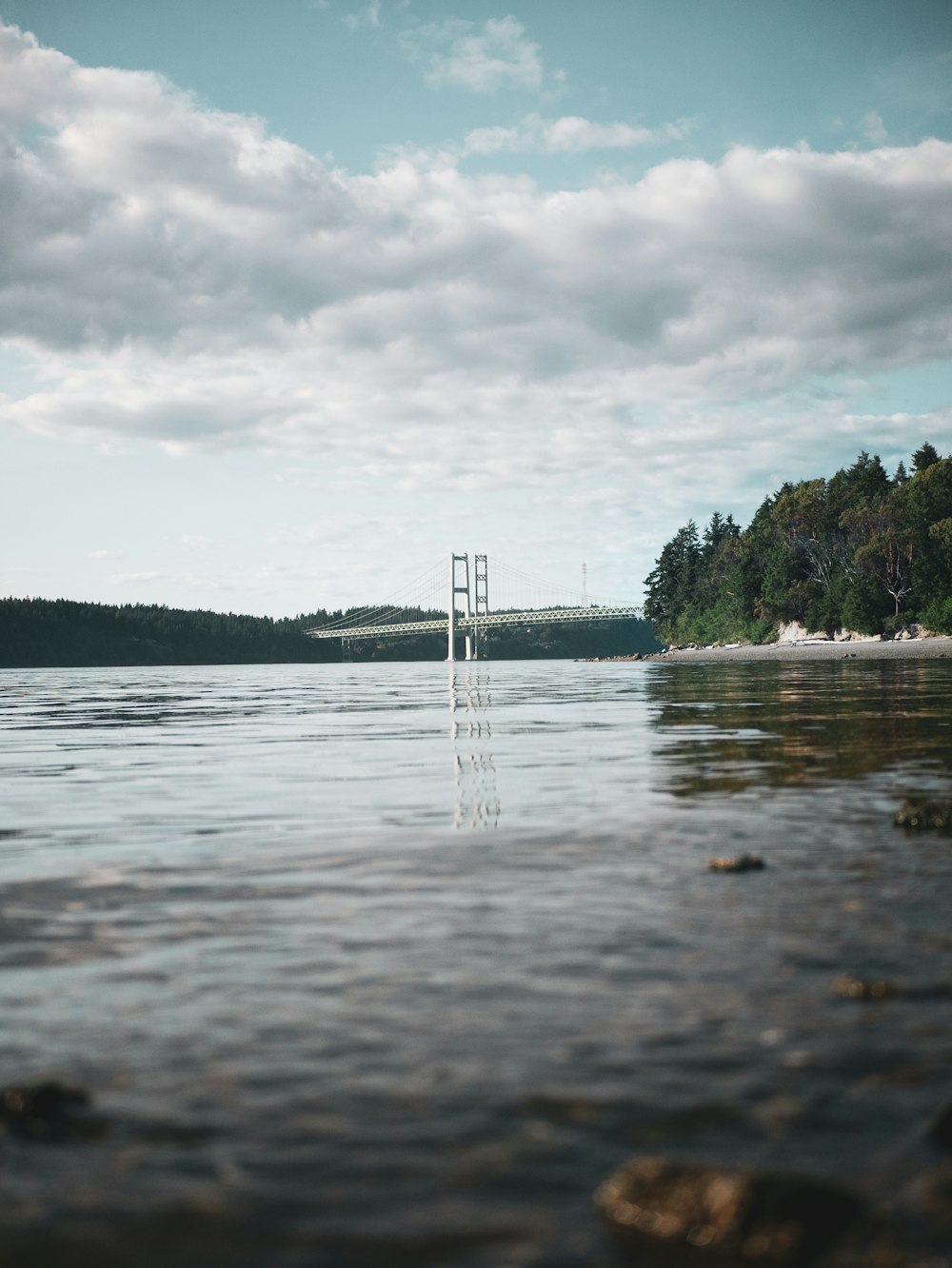 body of water near green trees under white clouds during daytime