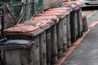 A series of gray trash bins with red and blue lids are lined up against a fence on the side of a street. The bins appear weathered and are spaced closely together, partially obscuring some text. The setting seems to be an urban area with a vehicle partially visible in the background.