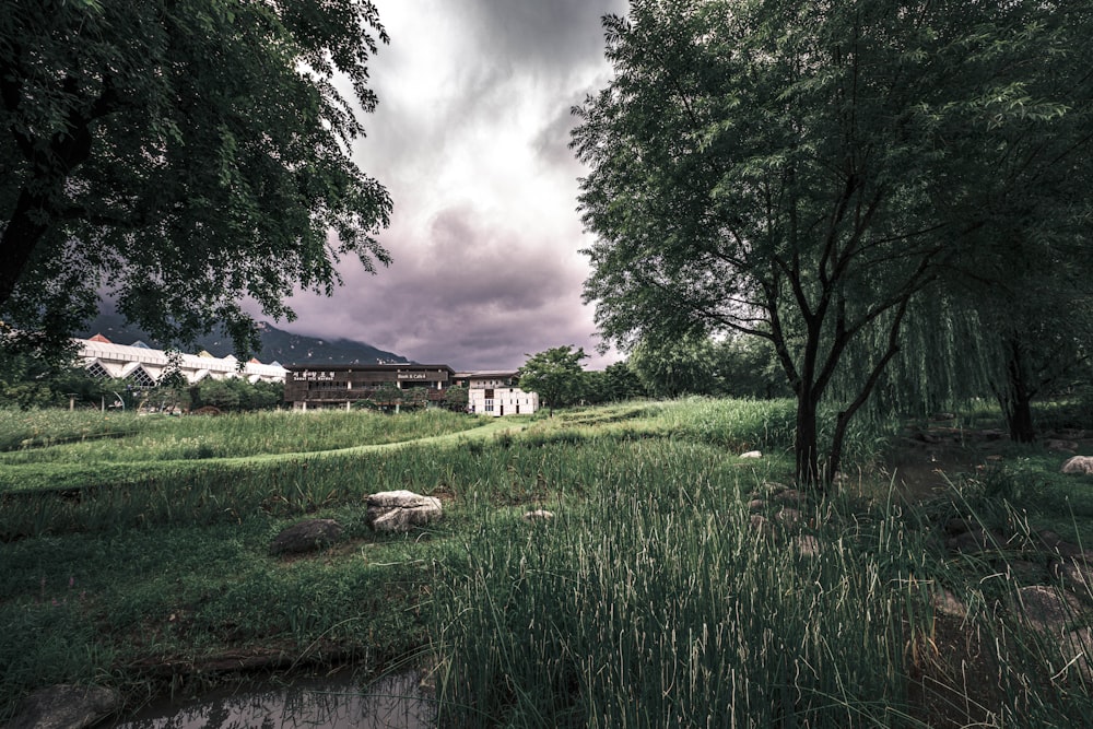 green grass field near body of water under cloudy sky during daytime