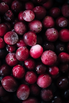 red round fruit in close up photography