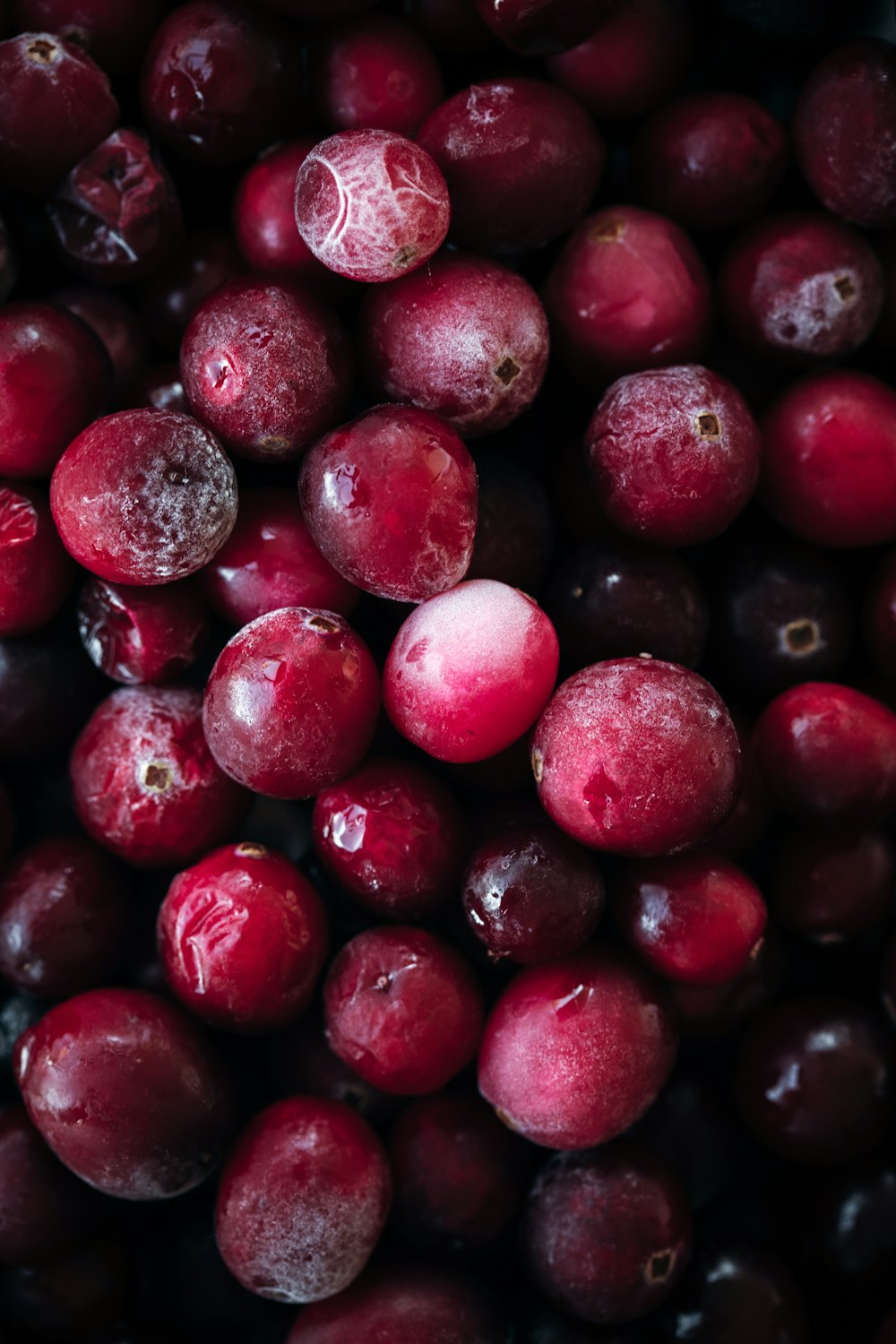 Fruta redonda roja en fotografía de primer plano