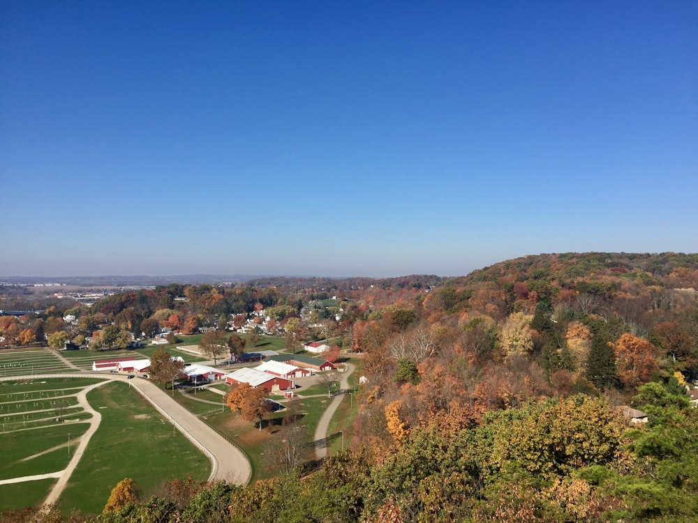 green trees and houses during daytime