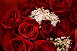 Close-up of a vibrant red rose bouquet with delicate blue accents.