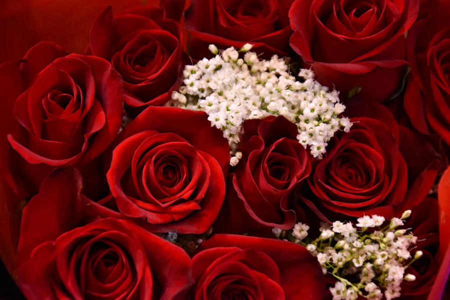 Romantic red and white rose arrangement for a proposal