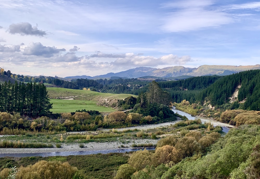 a river running through a lush green forest