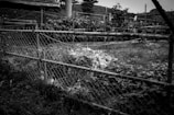 Before and after images of a lawn cleanup project.
