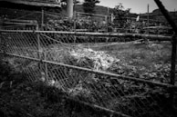 Before and after images of a garden cleanup and landscaping project.