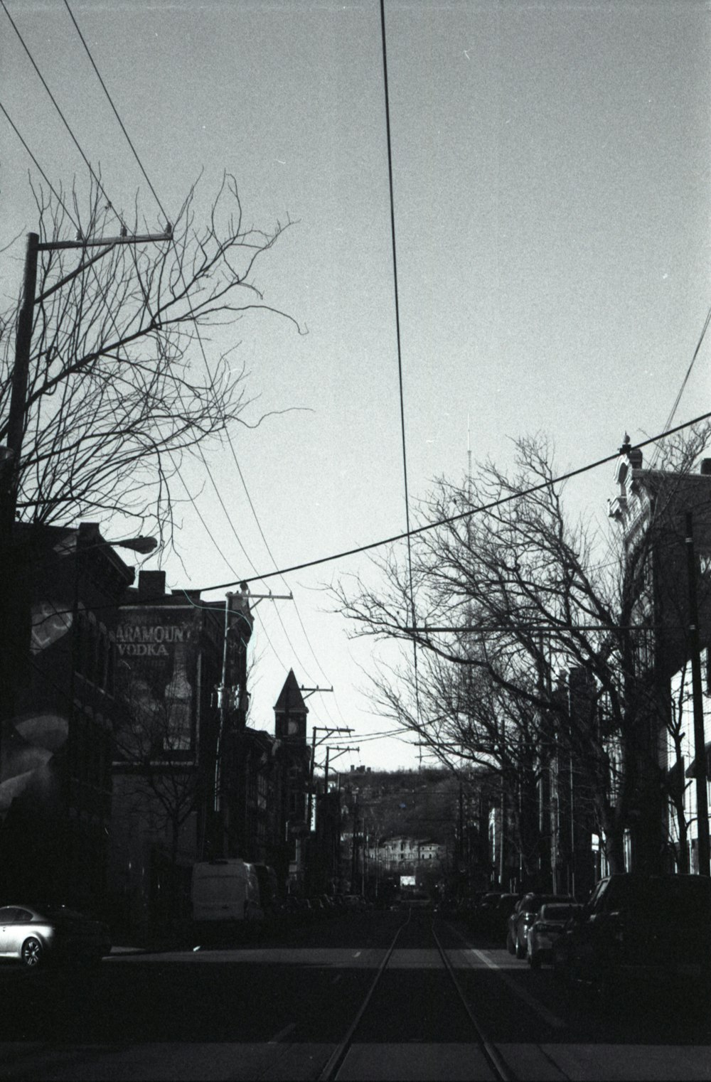 grayscale photo of bare trees near buildings