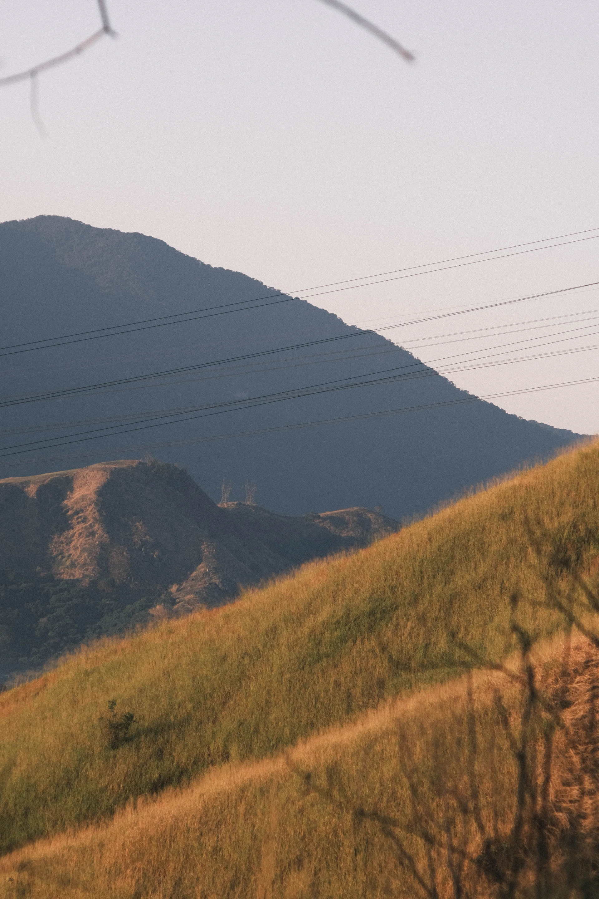 A close-up view of a spacious buildable lot with power lines visible at the roadside, surrounded by natural grasses and wildflowers.