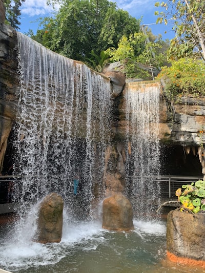 Waterfalls - From San Diego Zoo, United States