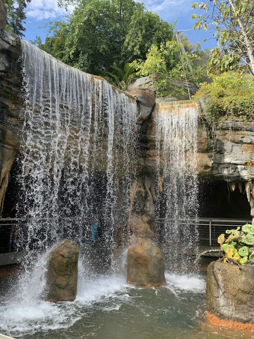 water fountain with green plants