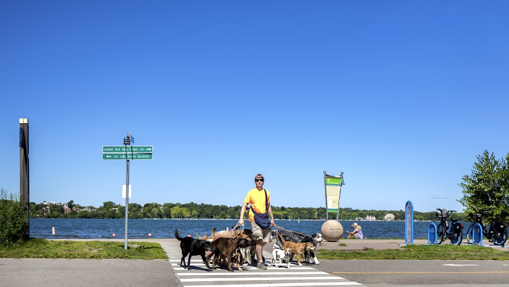 woman in yellow shirt sitting on chair beside brown dog during daytime