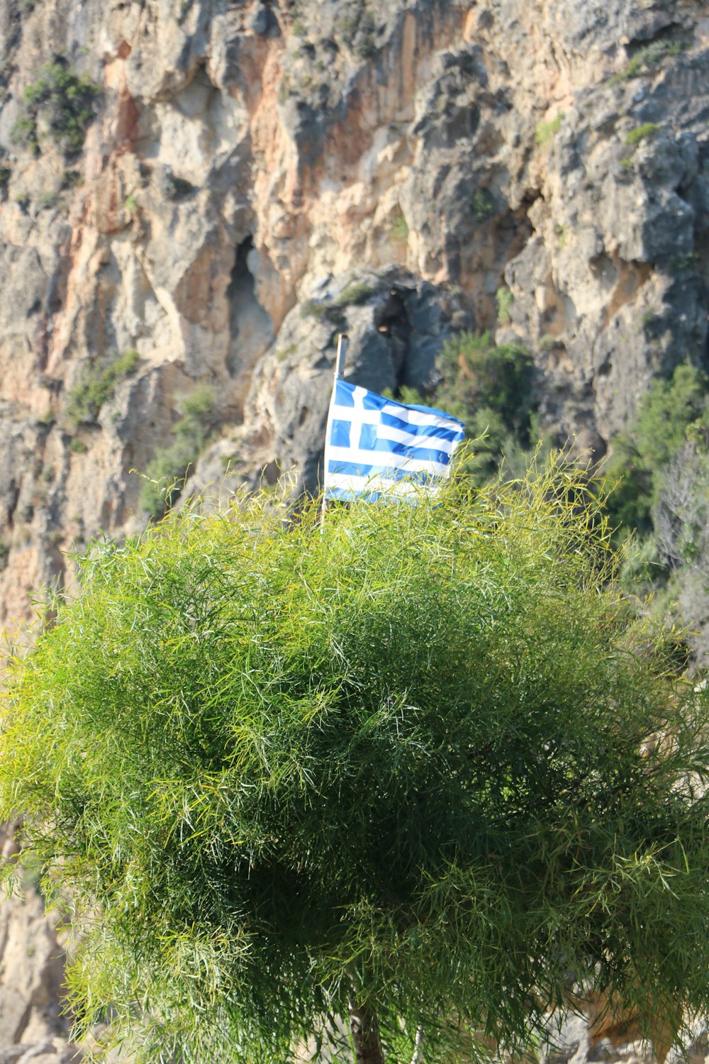 blue and white flag on rock mountain