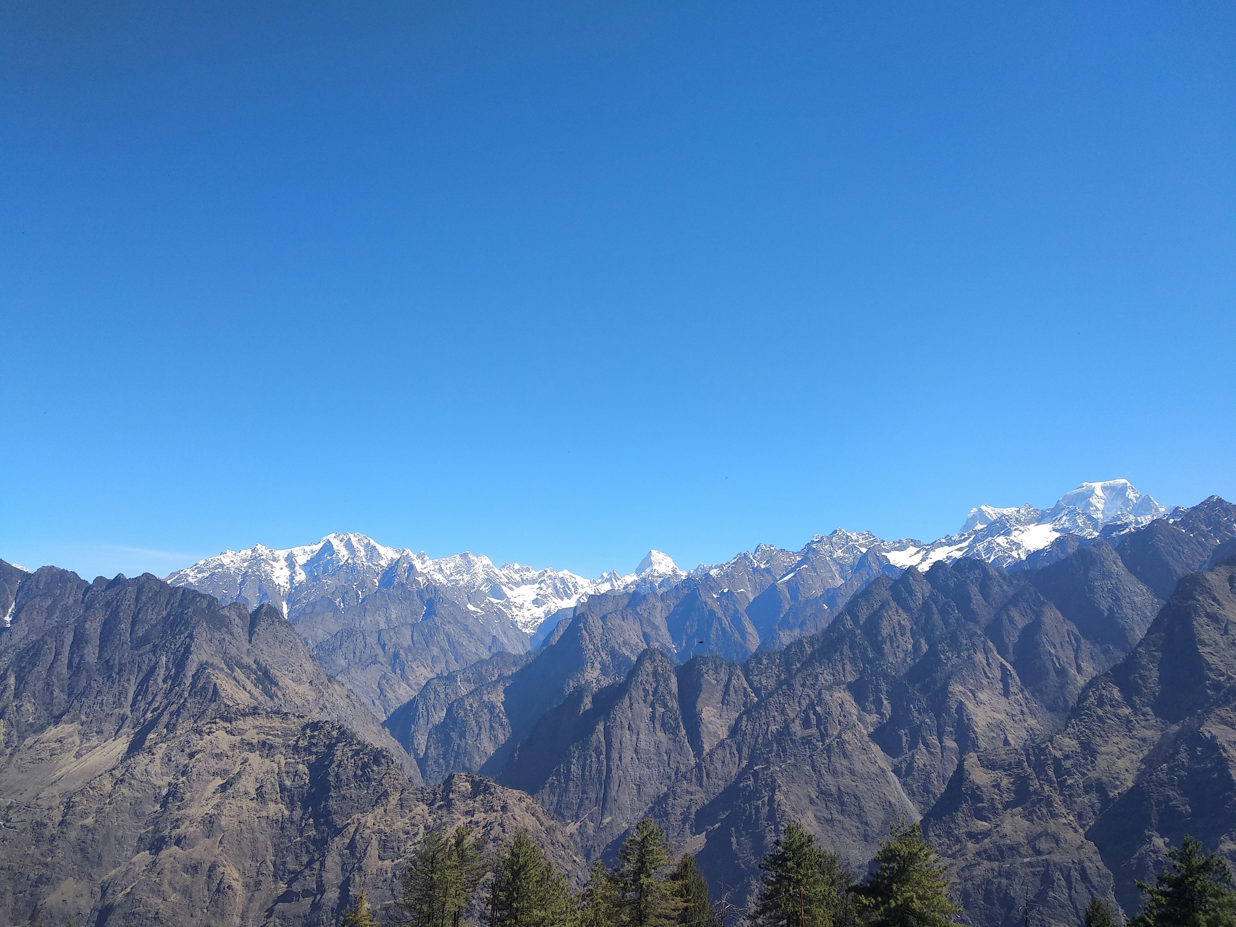 Photo by swarnarekhapandey_