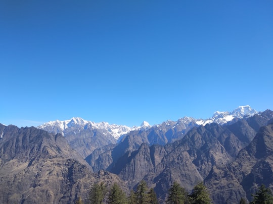 green trees near mountain under blue sky during daytime in Auli India