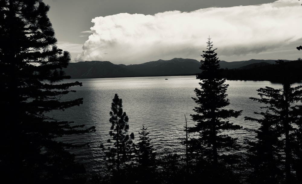 body of water near trees under white clouds during daytime