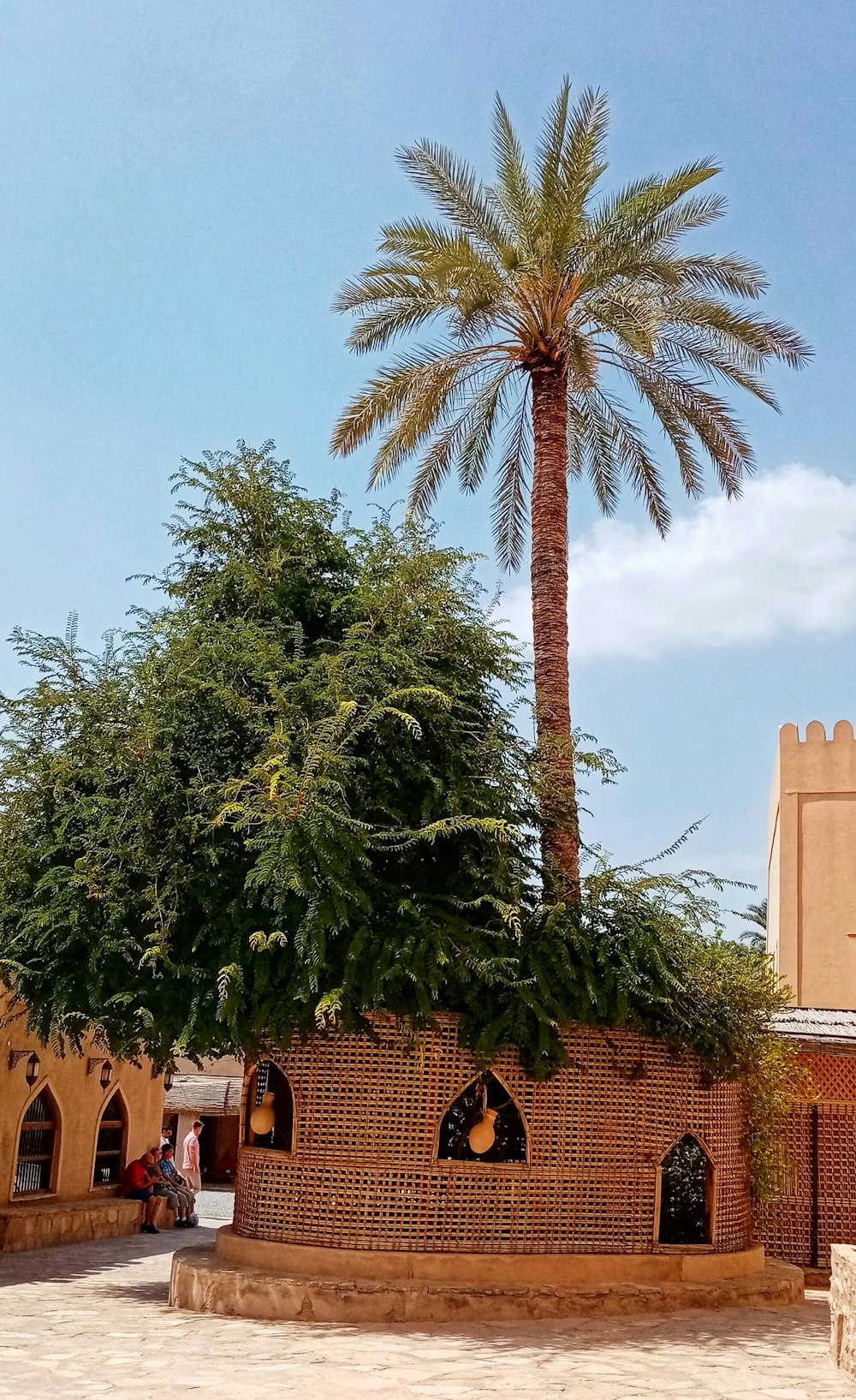 green tree near brown concrete building