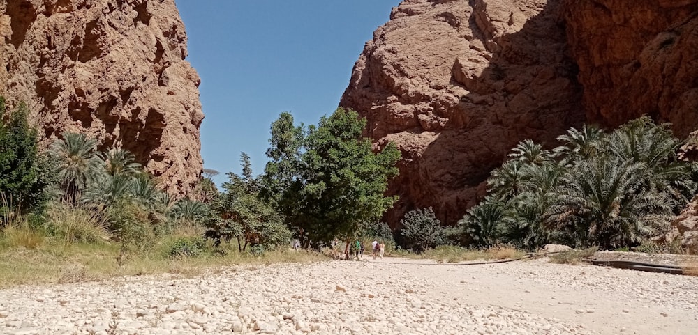 people walking on dirt road near brown rock formation during daytime