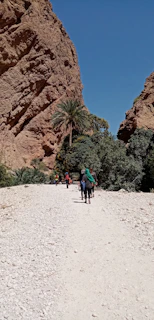 A group exploring the rugged beauty of Red Rock Canyon with a guide pointing out landmarks.