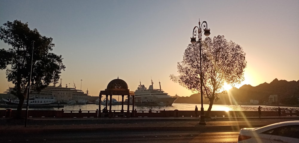 silhouette of trees near white building during sunset