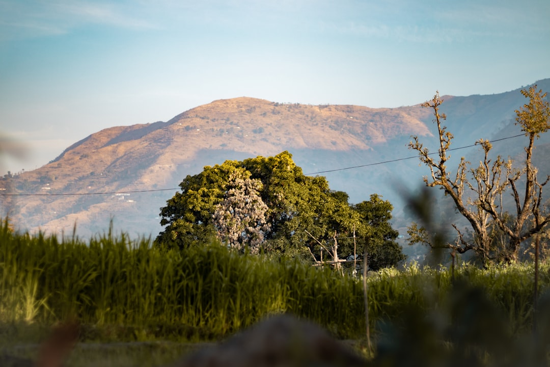 Highland photo spot Jim Corbett National Park Nainital