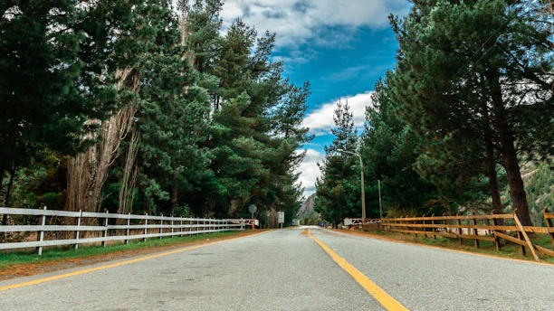A sunlit country road winding through tall pine trees with a vintage guitar leaning against a wooden fence.