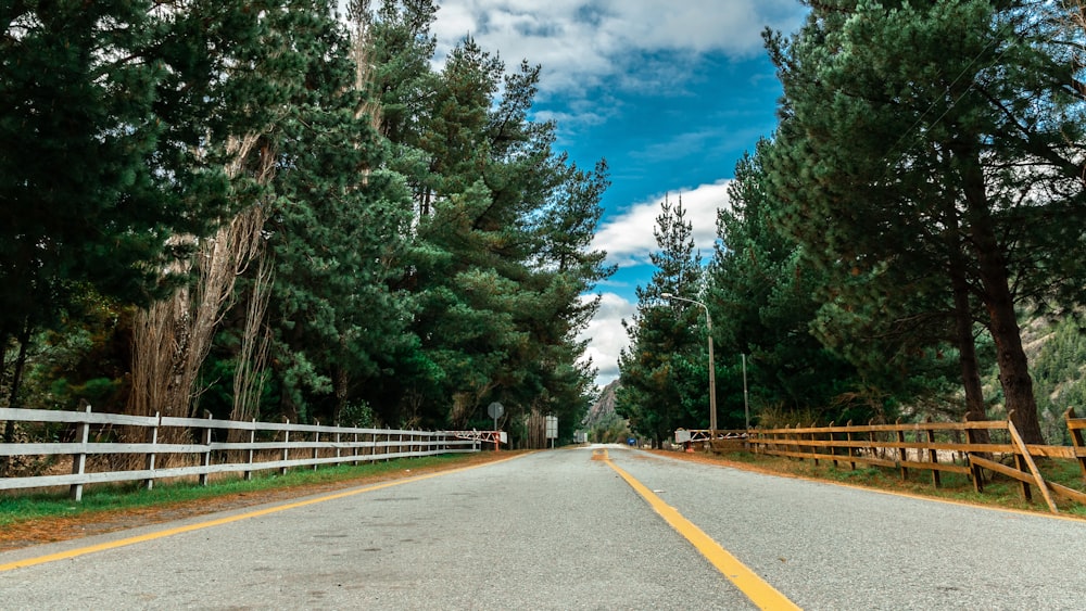 árboles verdes al lado de la carretera de concreto gris bajo el cielo azul durante el día