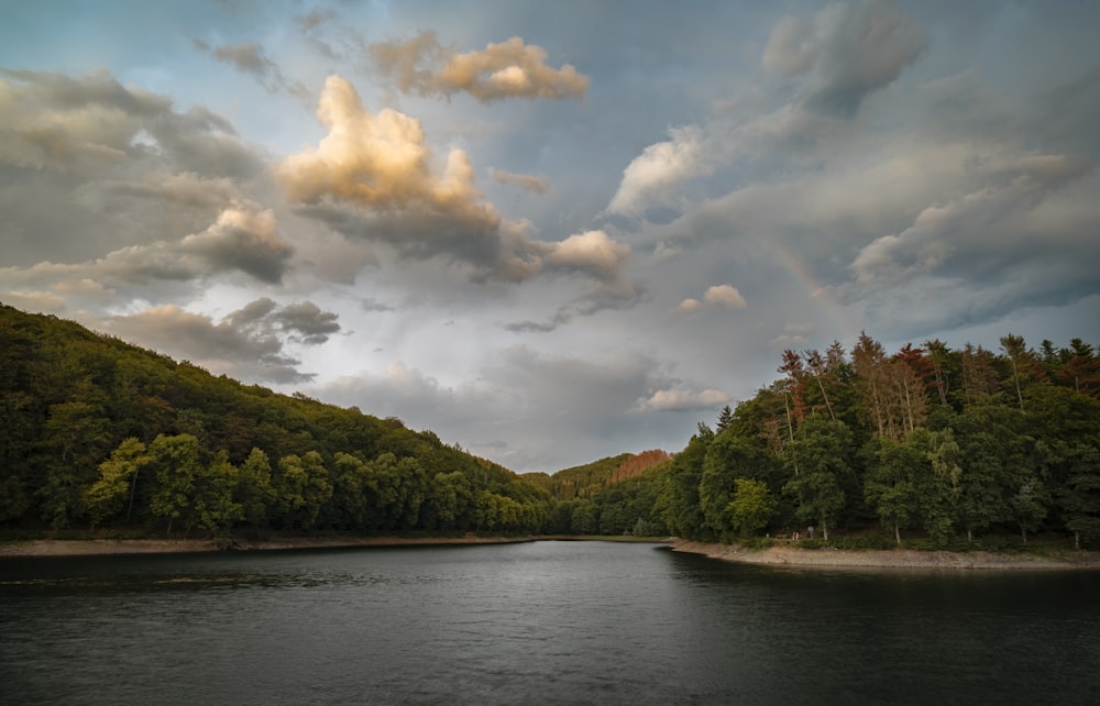 alberi verdi accanto al fiume sotto nuvole bianche e cielo blu durante il giorno