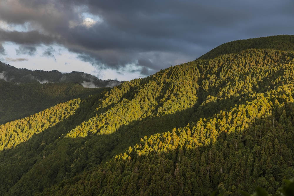 green and yellow mountain under cloudy sky during daytime