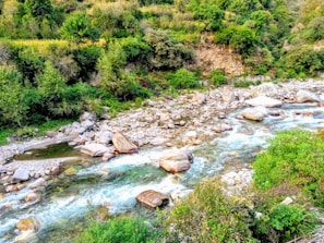 A flowing river winding through a vibrant landscape, symbolizing water conservation efforts.