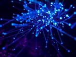 purple and blue light digital wallpaper